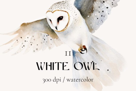 White Owl Watercolor Clipart: Elevating Digital Design with Modern Elegance