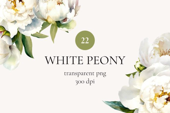 White Peony Watercolor Floral Clipart